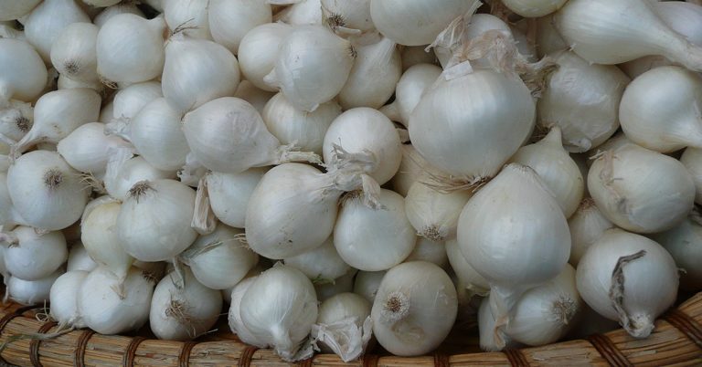 Pearl Onions Growing & Care Guide - Featured image