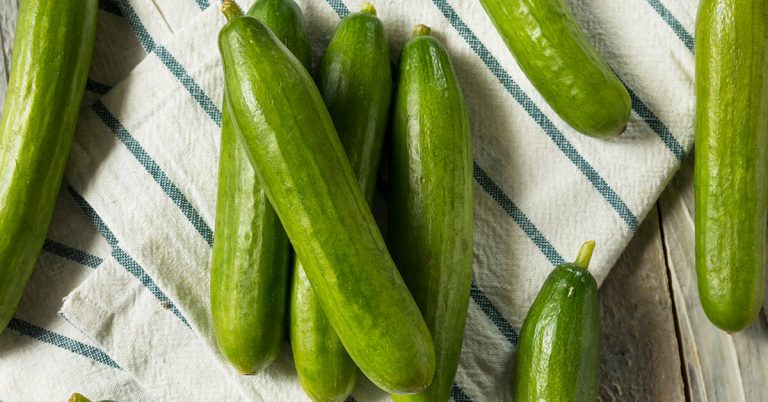 Persian Cucumber Growing & Care Guide - Featured image