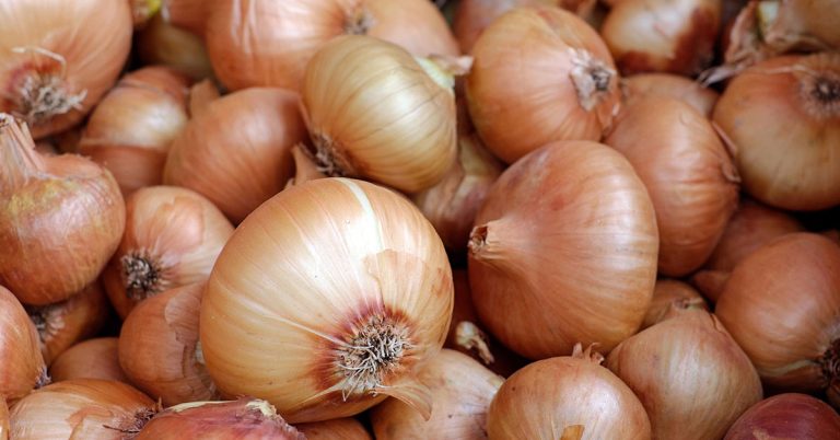 When to Harvest Onions for the Best Quality and Flavor - Featured image