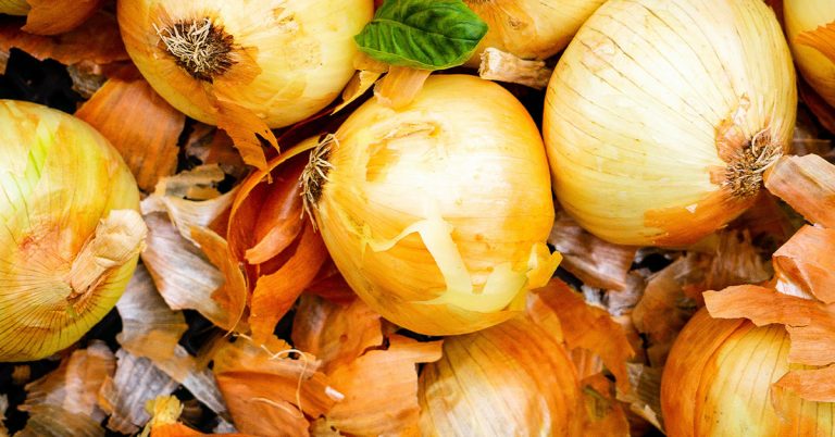 Yellow Onions Growing & Care Guide - Featured image