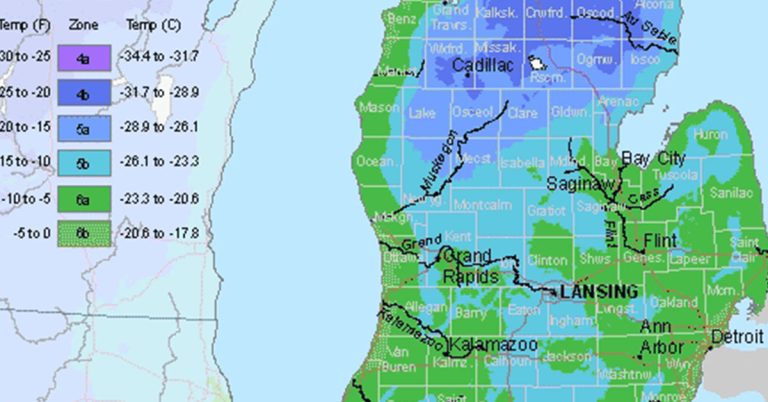 Grand Rapids, MI USDA Hardiness Zone Map & Planting Guide - Featured image