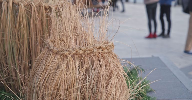 How To Get Rid Of Ornamental Grass - Featured image