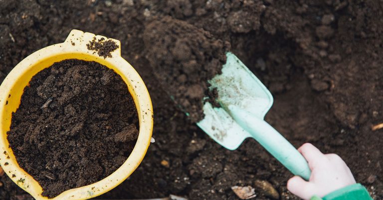 How To Add Nitrogen To Your Soil - Featured image
