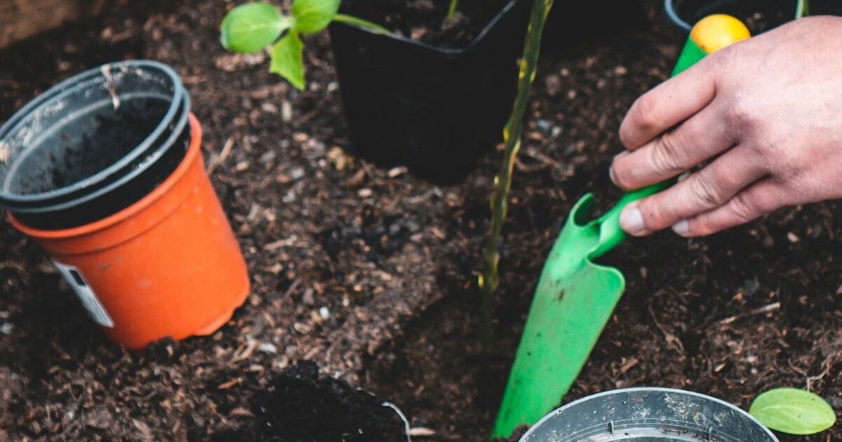 gardening