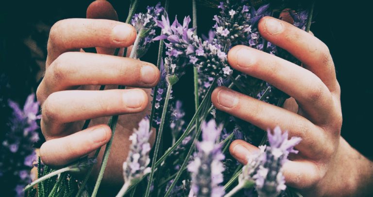 15 Plants with Powerful Spiritual Significance - Featured image