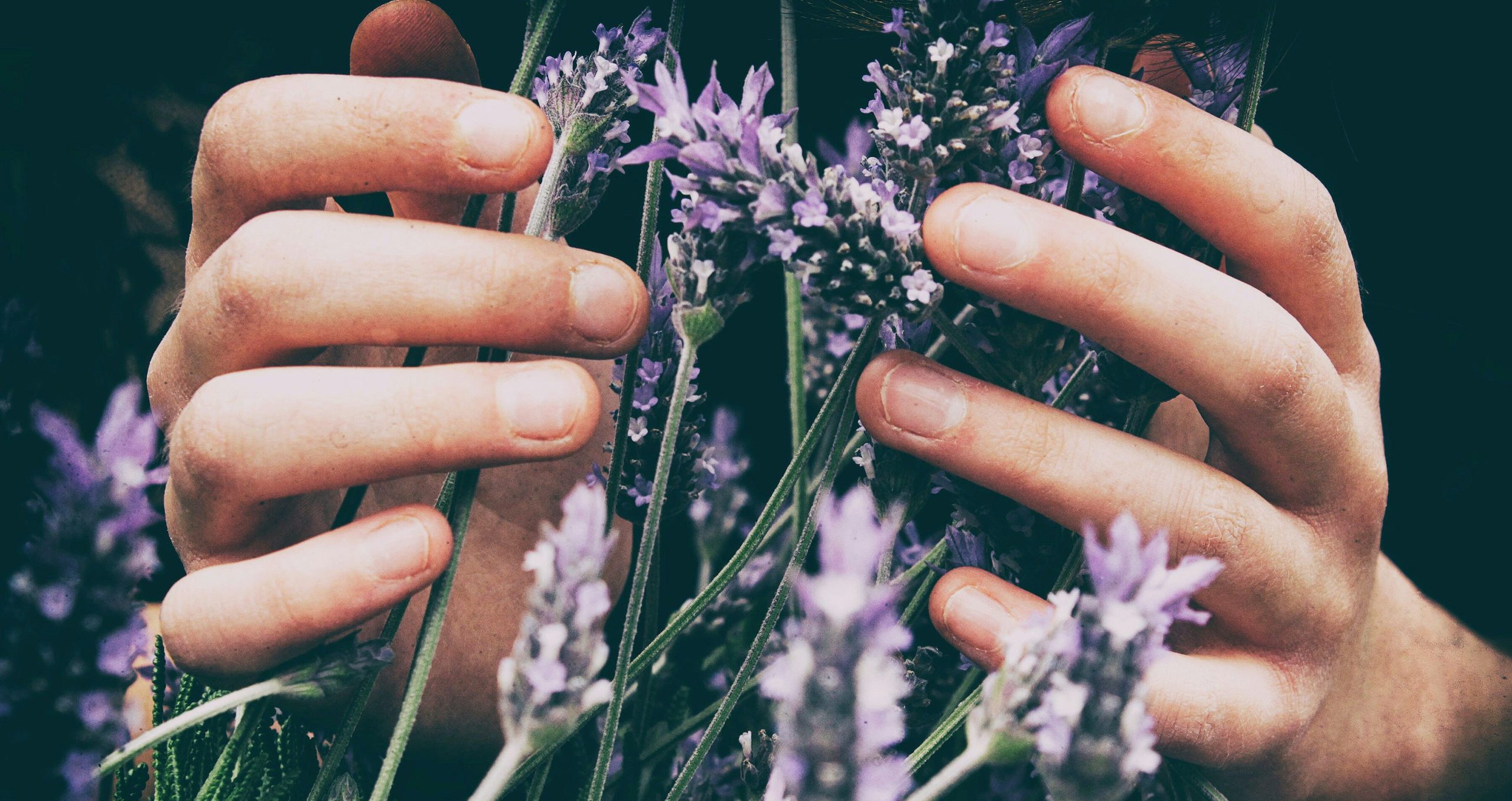 15 Plants with Powerful Spiritual Significance