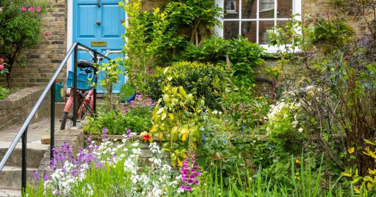 9 Gardening Tips That Can Help to Prepare Your Garden for the First Frost in September - Featured image