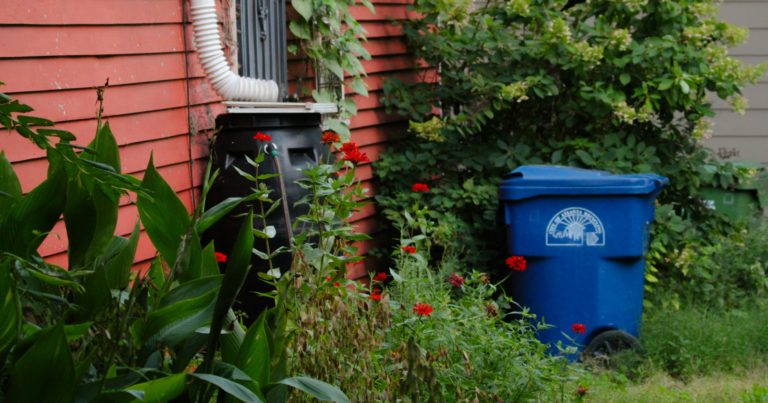 7 Ways Your Rainwater Collection System Could Be Contaminated - Featured image