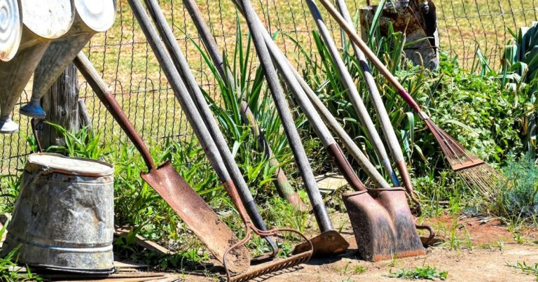 11 Reasons Why You Need To Clean Gardening Equipment Before Storing It Away For The Colder Months - Featured image