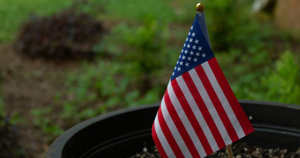 10 Red, White, and Blue Flowers For Your Patriotic Garden - Featured image