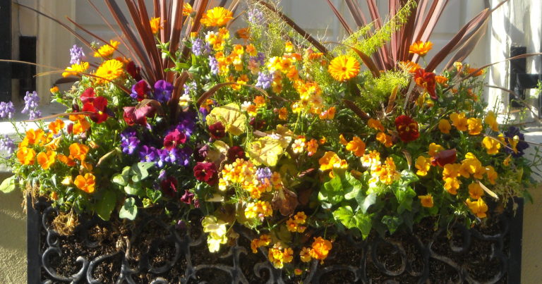 Exploring Seasonal Flower Arrangements for New Year’s Decor - Featured image