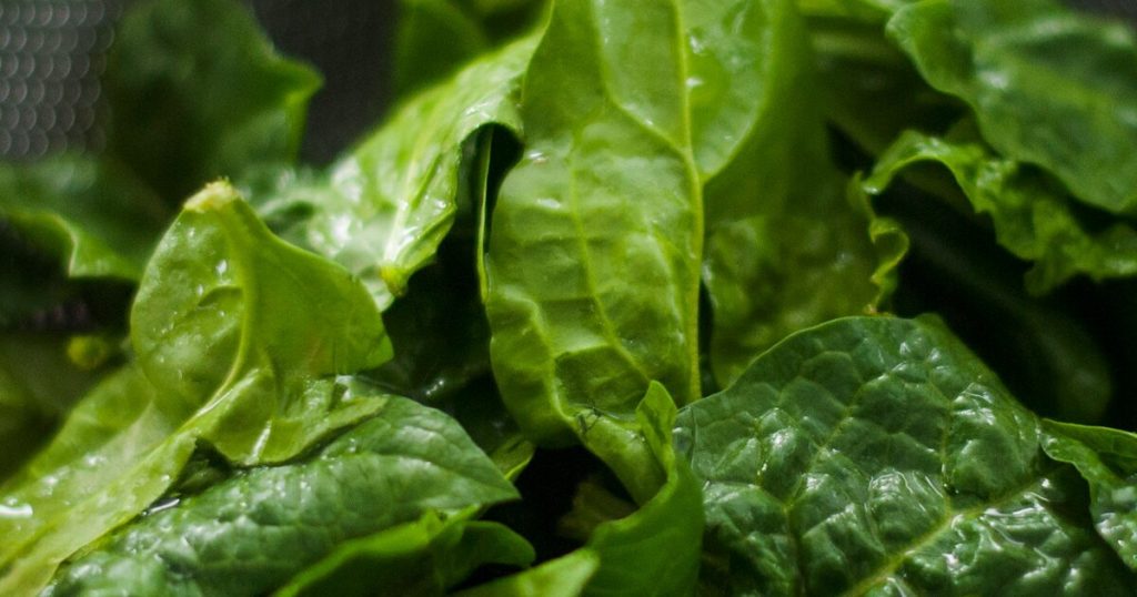 Avoid These 12 Common Mistakes While Growing Spinach - Featured image