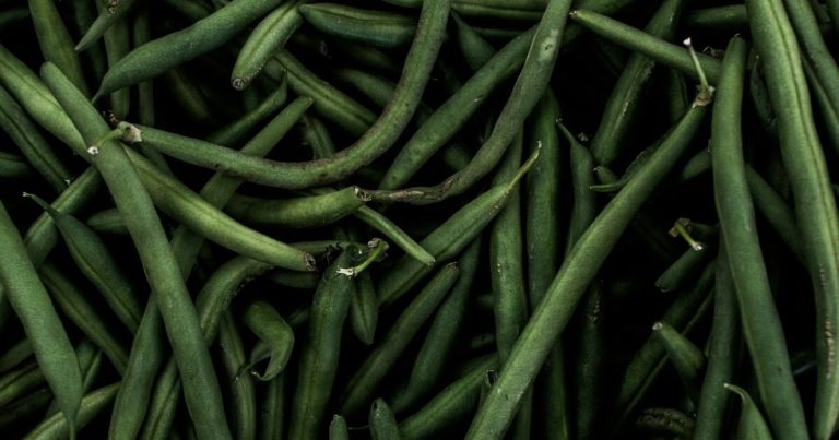 11 Ways To Grow A Succesful and Huge Green Bean Garden - Featured image