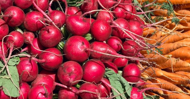 These Are The Best Vegetables To Grow For Pickling - Featured image