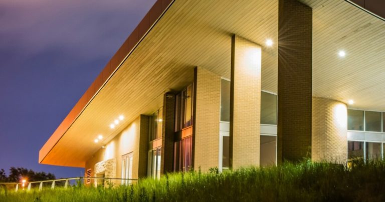 10 Ways To Use Gardening Lights Without Affecting Local Wildlife - Featured image