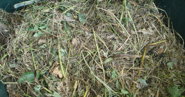 11 Reasons To Start Mulching Your Grass Clippings - Featured image