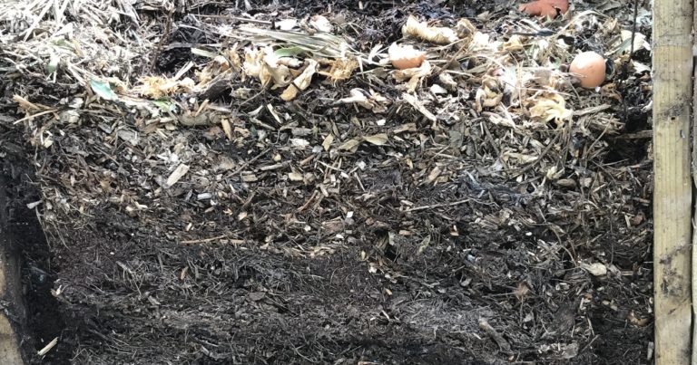 Yes, You Can Start A Compost Pile In October - Featured image