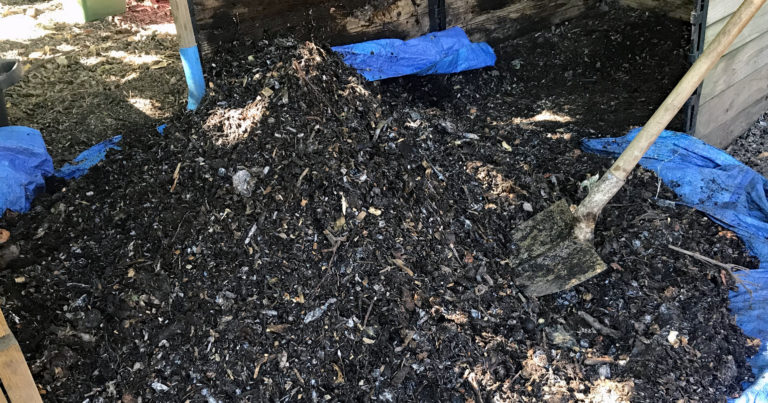 No Compost Bin Needed: Recycling Garden Residues Directly May Deliver Greater Soil Benefits - Featured image