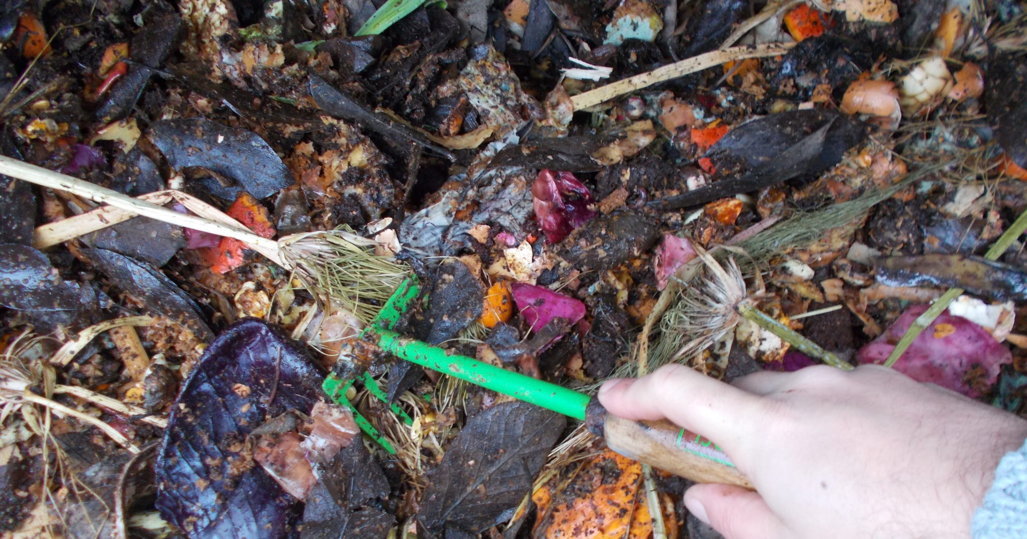 Indoor Composting Managing Plant Waste During Winter The Garden Magazine