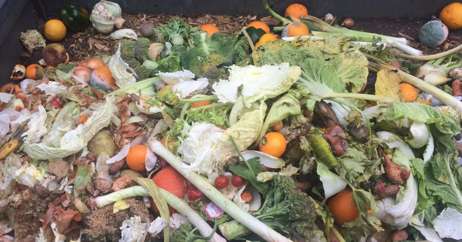 Why You Shouldn’t Always Trust StoreBought Compost The Garden Magazine