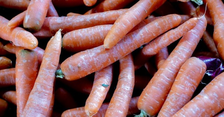 11 Gardening Mistakes To Avoid When Growing Carrots - Featured image