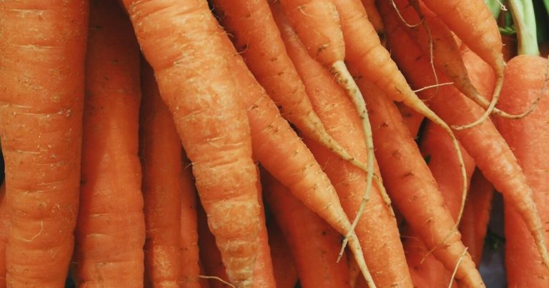 12 Crops You Can Start In August And Harvest Before First Frost - Featured image