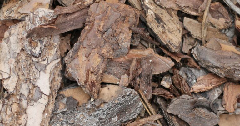 Using Mulch Effectively to Protect Your Garden Over Winter - Featured image