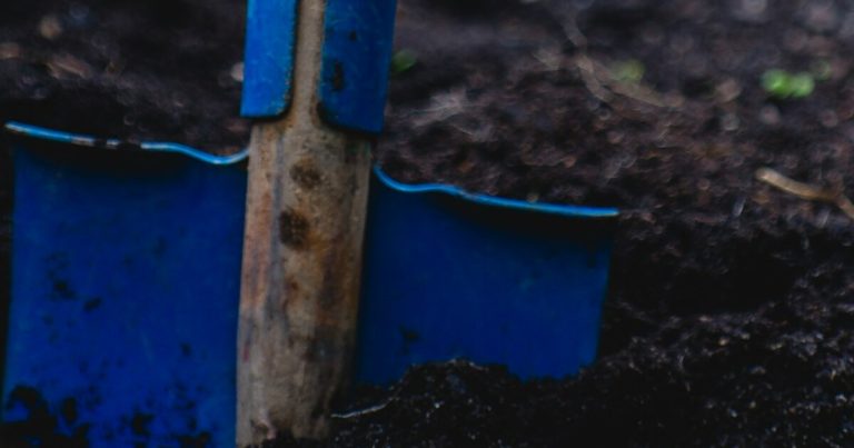 8 Reasons Why A No-Till Garden Can Be Beneficial - Featured image