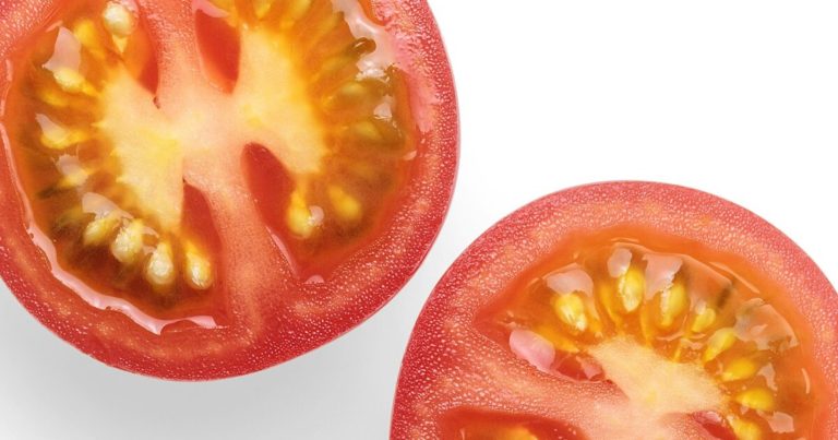 How To Grow An Endless Harvest Of Tomatoes From Four Slices - Featured image