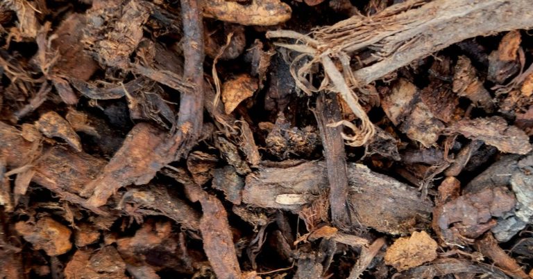 This Is The Best Mulch To Add To Your Garden In The Fall - Featured image