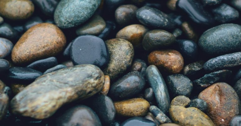 Incorporating Evergreen Plants into Your Winter Rock Garden - Featured image