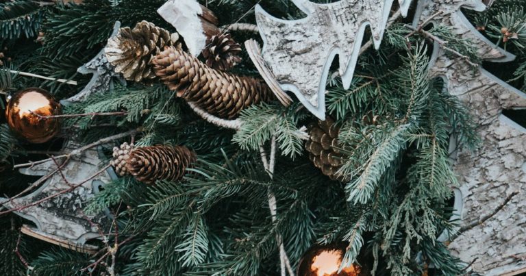 Enhancing Your Garden’s Energy for the Winter Solstice - Featured image