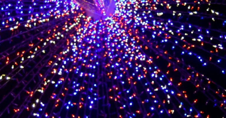 Meditative Gardening Activities to Welcome the Winter Solstice - Featured image