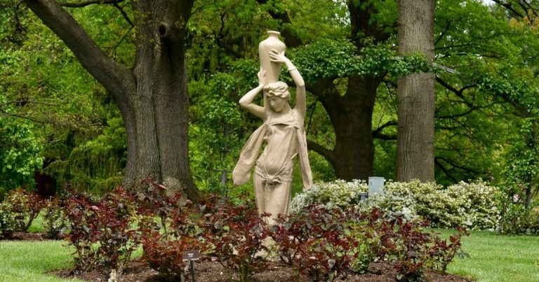 10 Things To Expect With A Pond Garden - Featured image