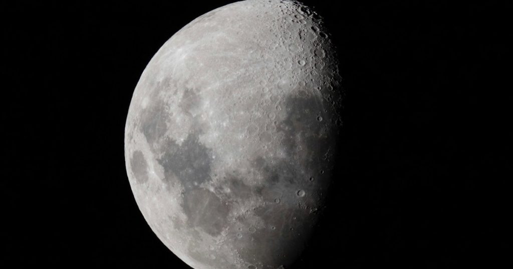 Here’s What You Need To Make Your Own Moon Garden This Spring - Featured image