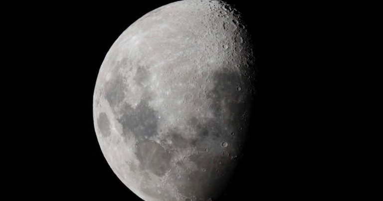 Here’s What You Need To Make Your Own Moon Garden This Spring - Featured image