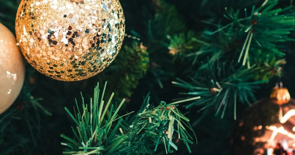 5 Green Things You Can Do With Your Old Christmas Tree - Featured image