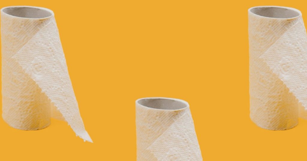 8 Ways On How To Recycle Toilet Rolls In The Garden - Featured image