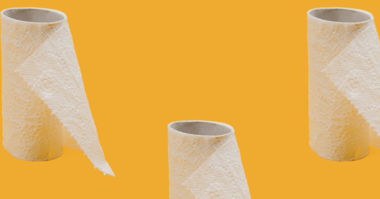 8 Ways On How To Recycle Toilet Rolls In The Garden - Featured image