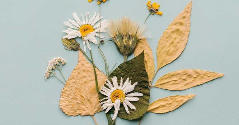 9 Fun DIY Projects That Use Flowers From Your Cutting Garden - Featured image