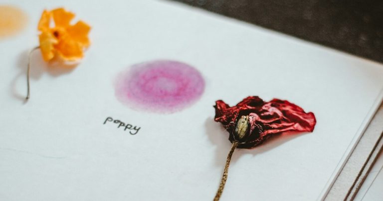 Pressed Flowers Are A Perfect Way to Preserve Beauty from Your Garden - Featured image