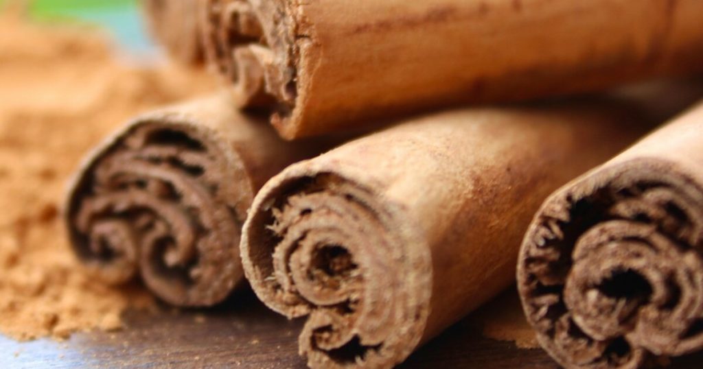 6 Reasons Why Plants Love Cinnamon - Featured image