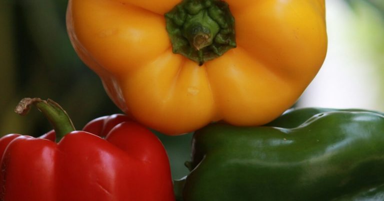 12 High-Yield Vegetables That Produce A Ton Of Veggies (Cut Your Grocery Bill) - Featured image
