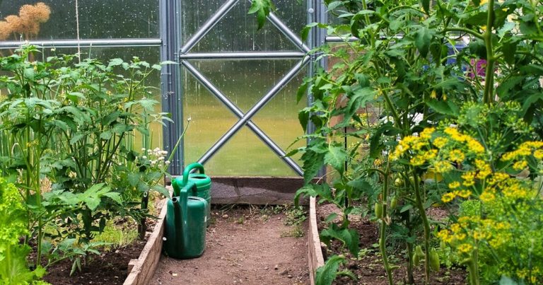 9 Tips on How to Prepare Your Greenhouse Before Fall - Featured image