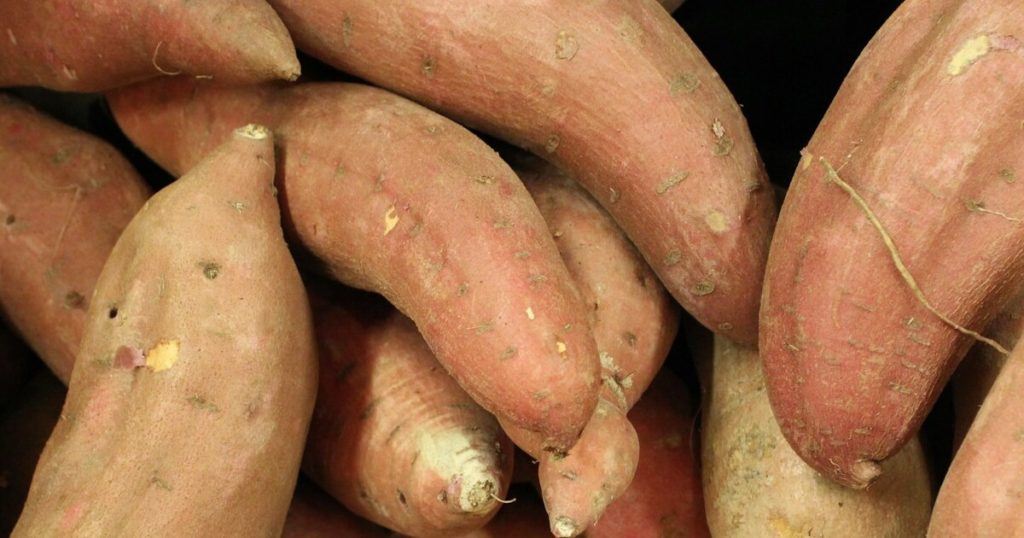 10 Vegetables That Store Well for Fall and Winter Months - Featured image