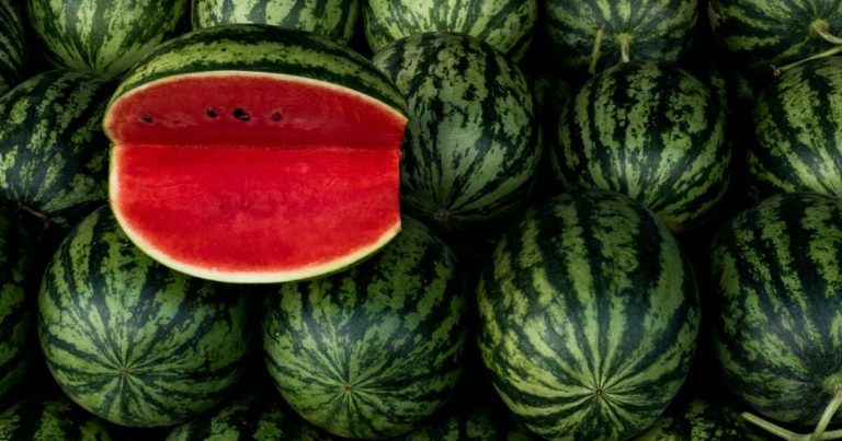10 Gardening Mistakes To Avoid When Growing Watermelons - Featured image