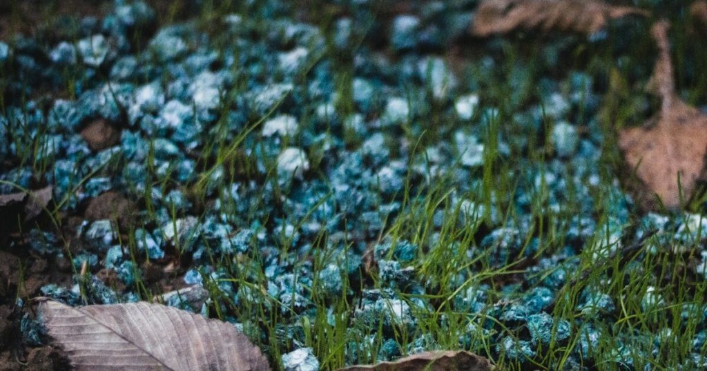 11 Reasons Why Synthetic Blue Fertilizer Harm Your Garden Instead of Helping It - Featured image
