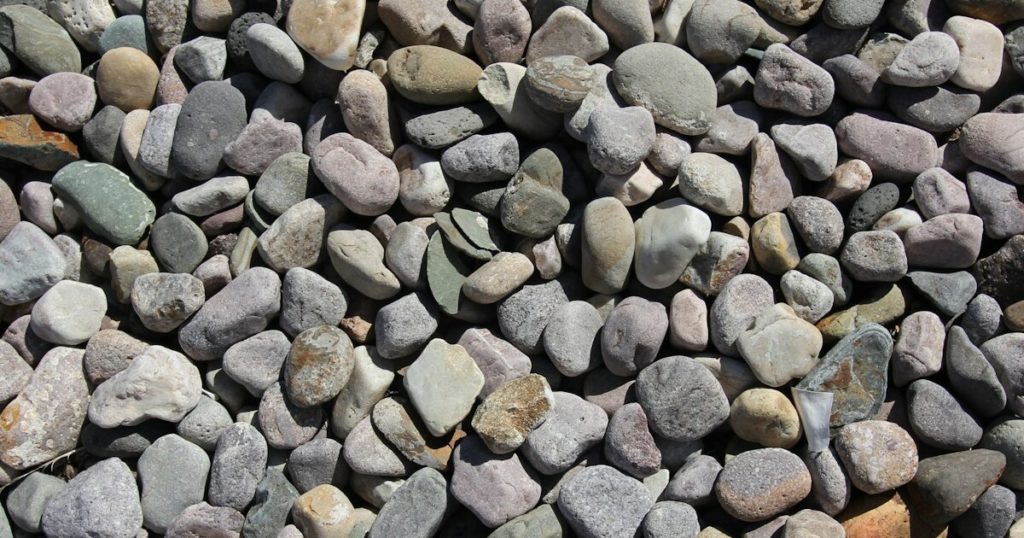 9 Reasons Why Xeriscaping Can Save You Time And Money - Featured image