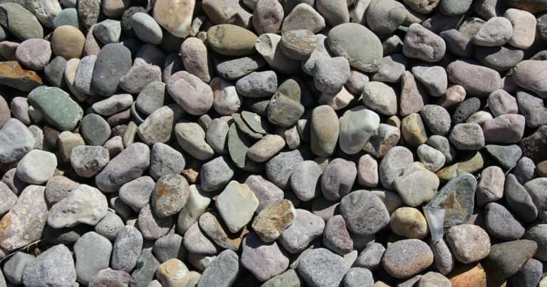9 Reasons Why Xeriscaping Can Save You Time And Money - Featured image