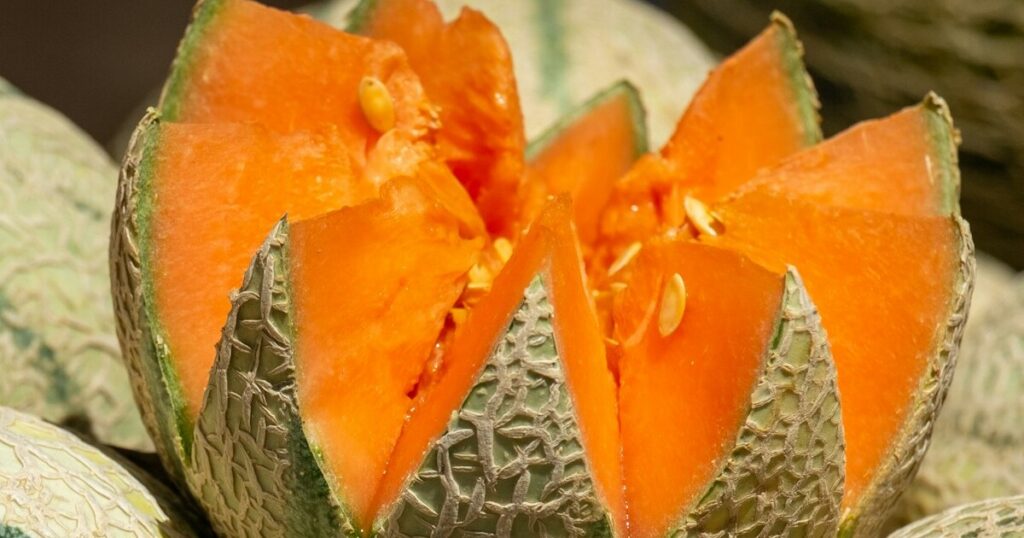 10 Mistakes To Avoid If You’re Growing Melons This Year - Featured image